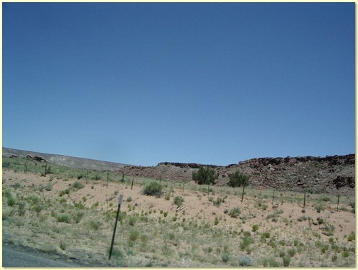 IMGP1059.JPG