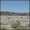 IMGP1179.JPG