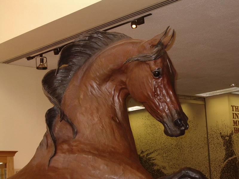 IMGP1597.JPG