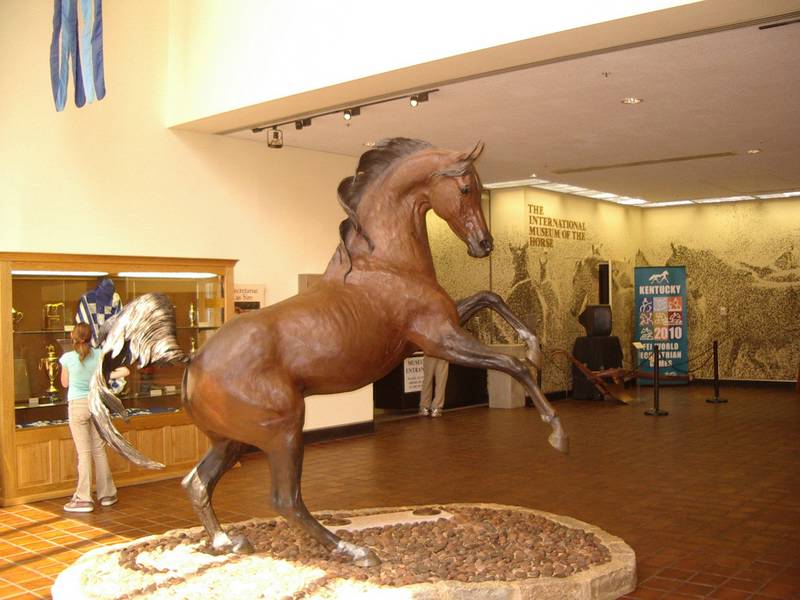IMGP1598.JPG