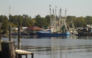 tnGulfHarbor.jpg 400x240