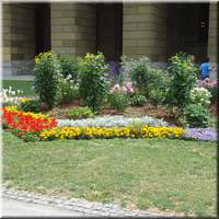 DSC01740.JPG