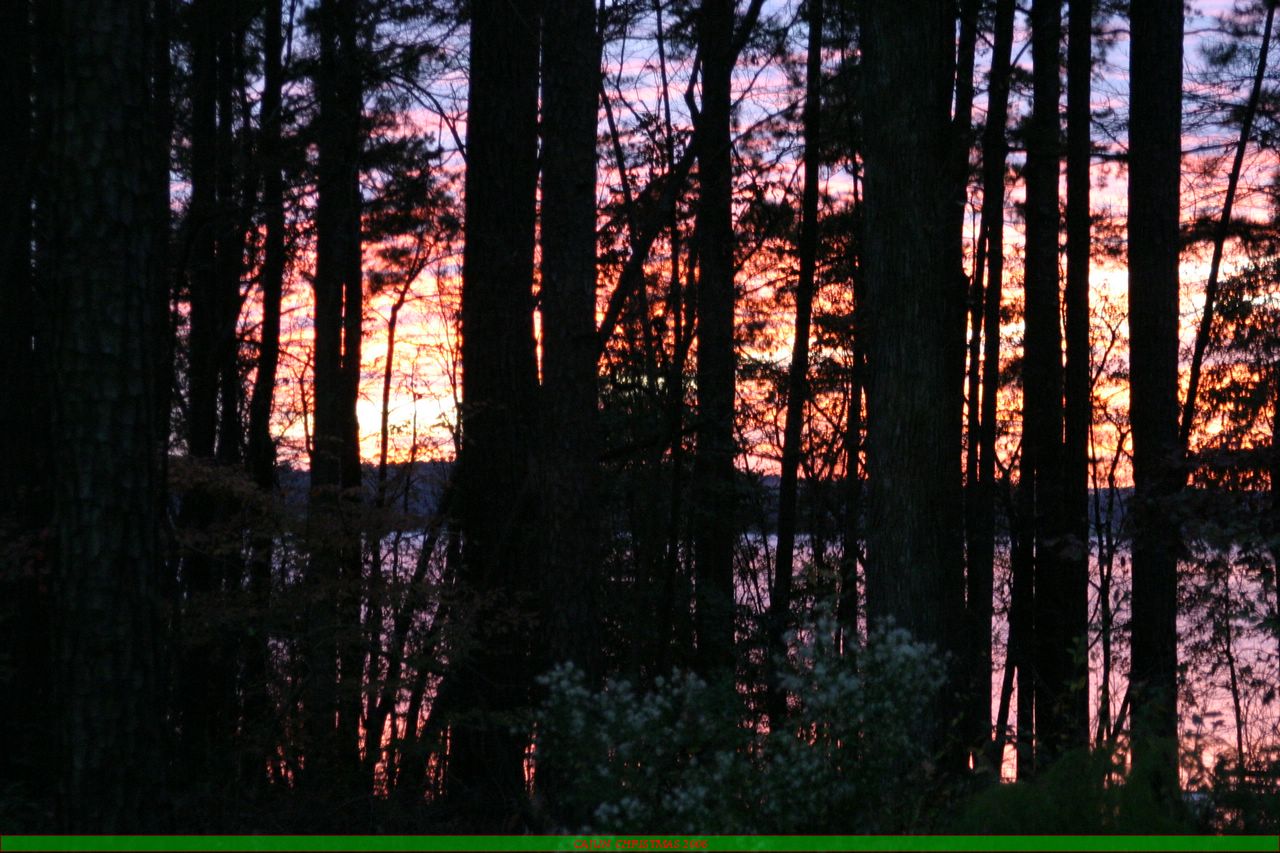 JuansCC06 022.jpg