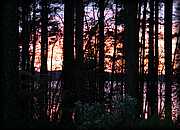 JuansCC06 022.jpg