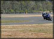 TinoNov06001.jpg.jpg