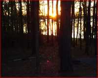 DSC00015.JPG