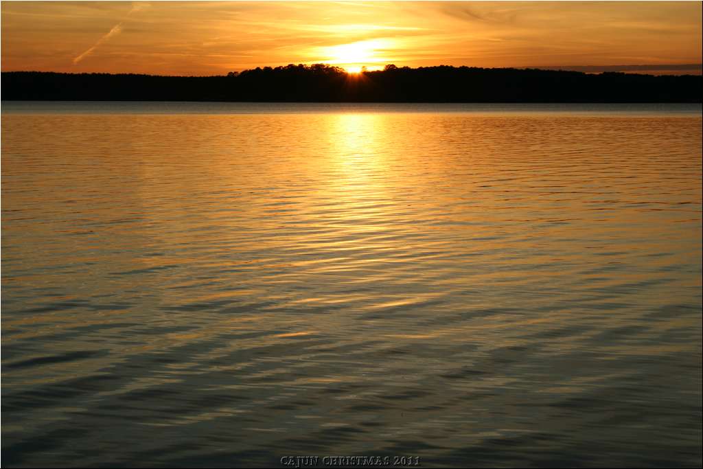 IMG_5714.JPG