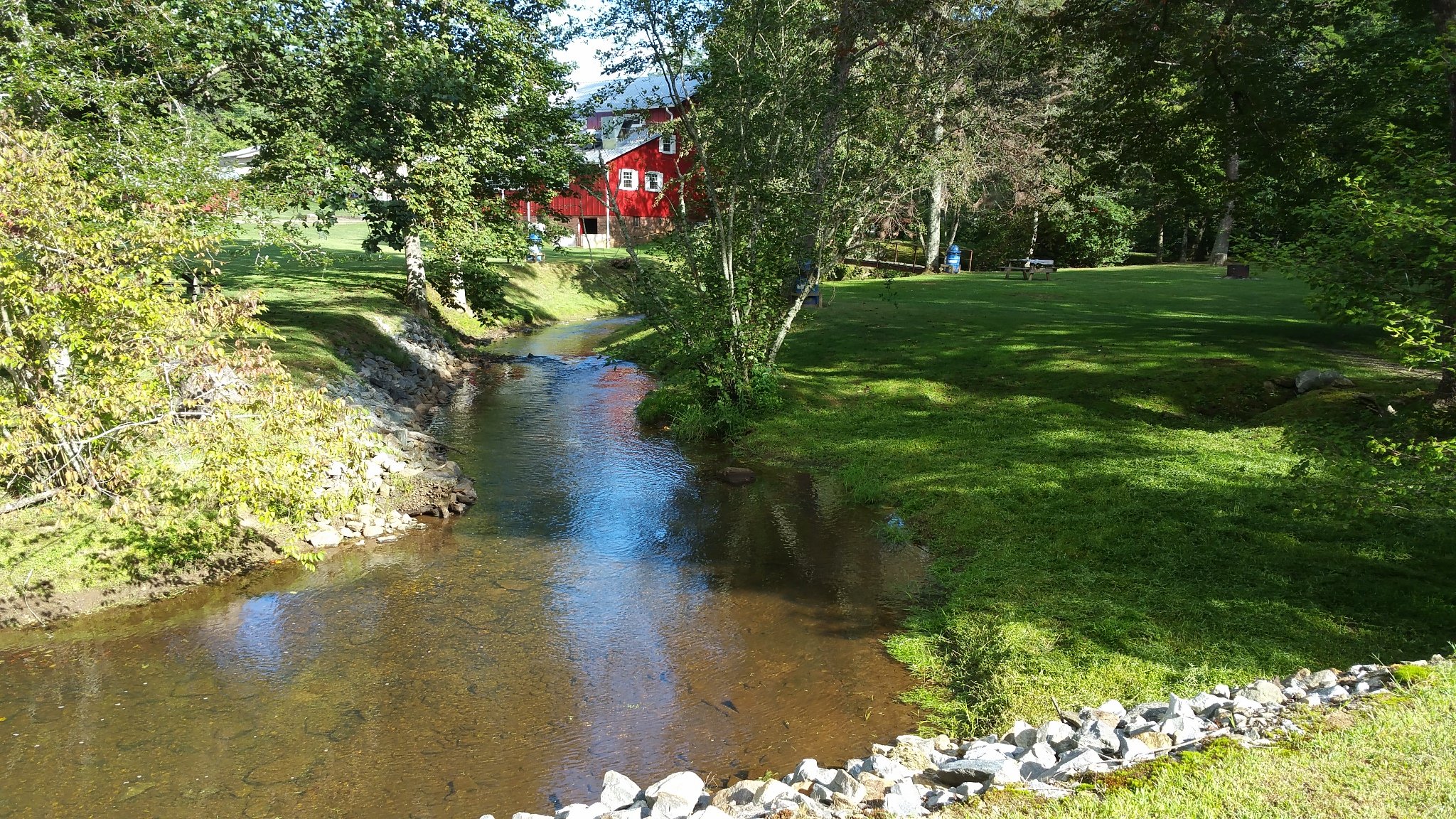 Pic 03.jpg
