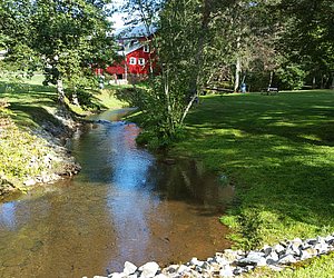 Pic 03.jpg