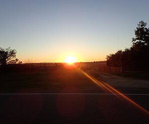 Pic 14.JPG