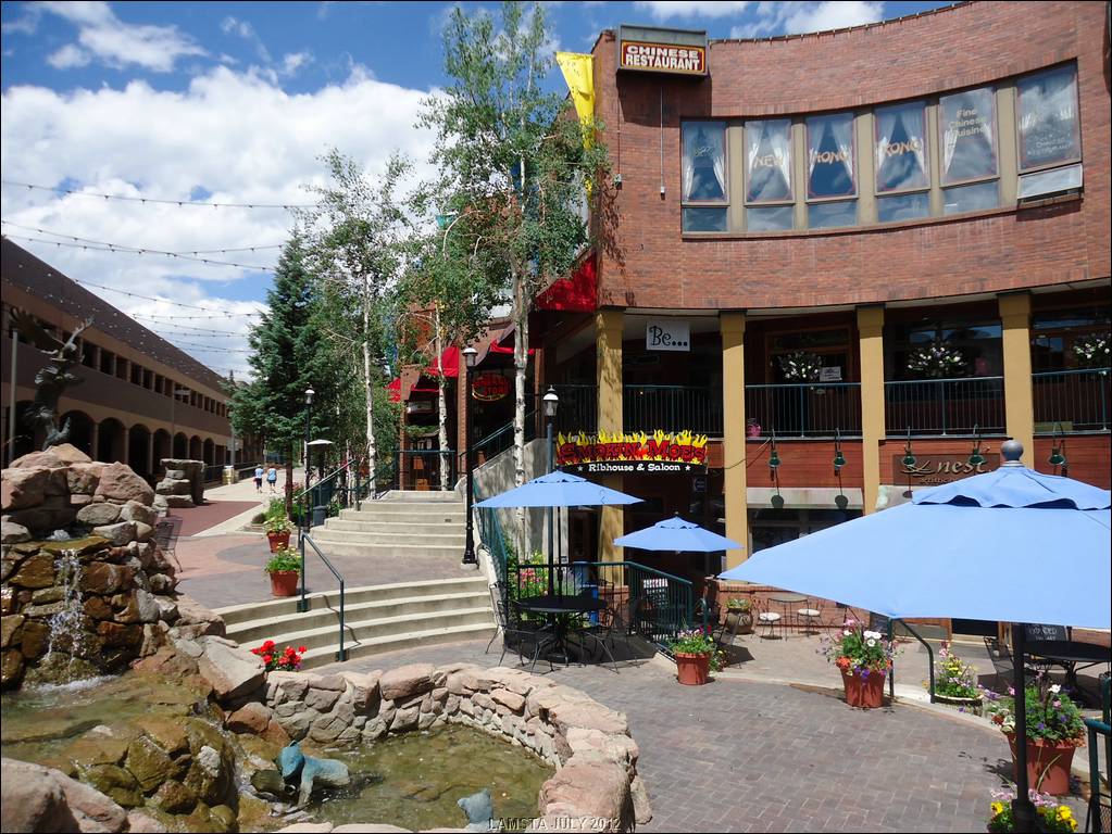 D6WinterPark.JPG