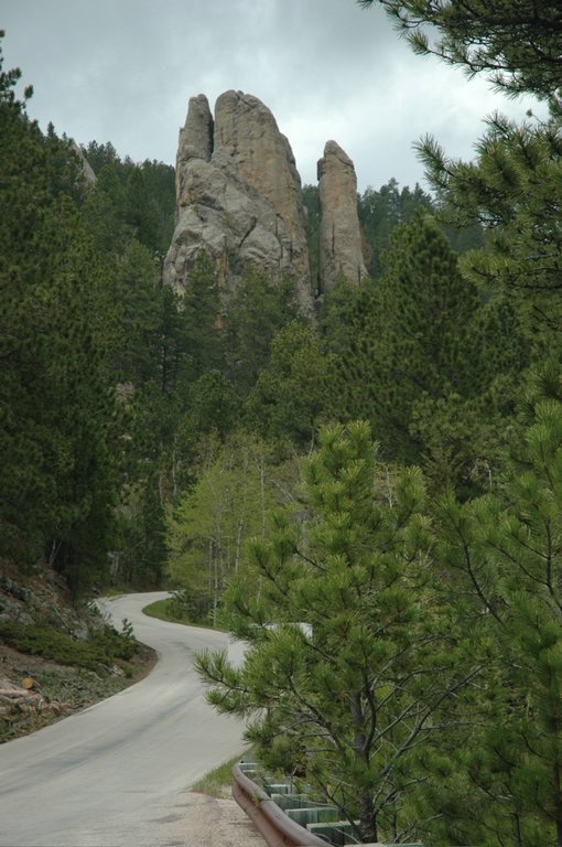 DSC_1038.jpg