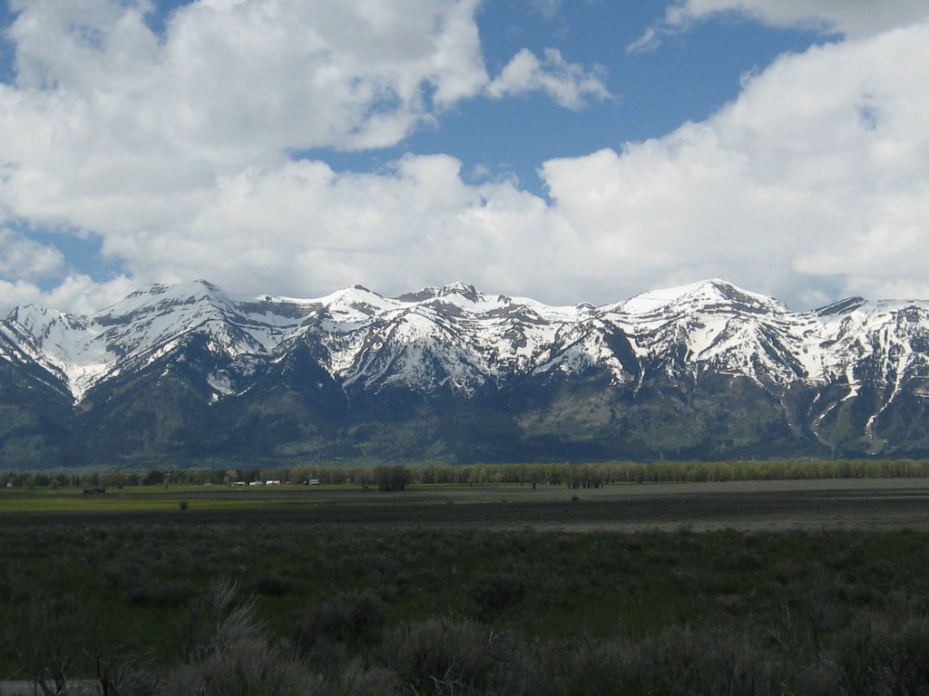 IMG_0333.JPG