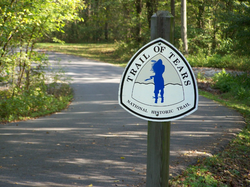 100_0072.jpg