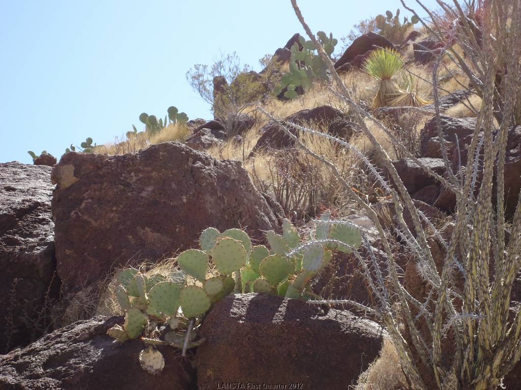 BigBend00208.JPG