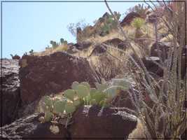 BigBend00208.JPG