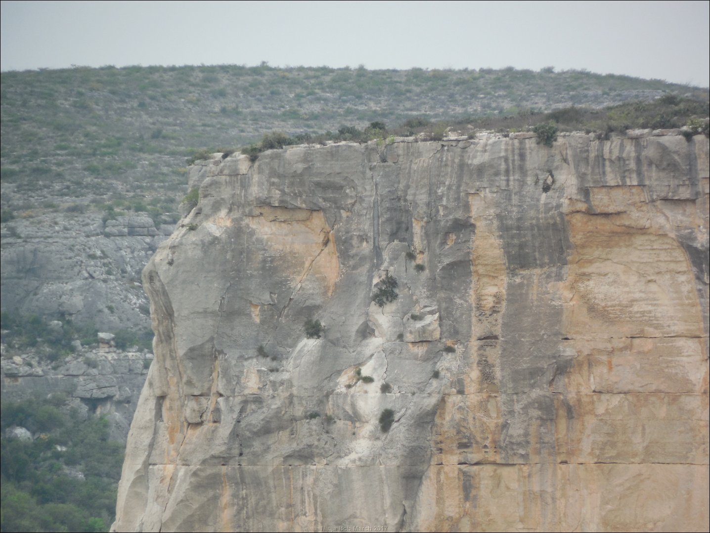 DSCN0344.JPG
