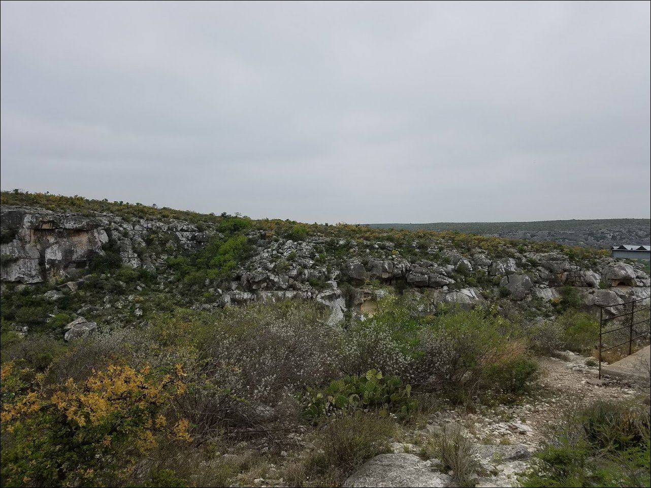 20170317_130751.jpg
