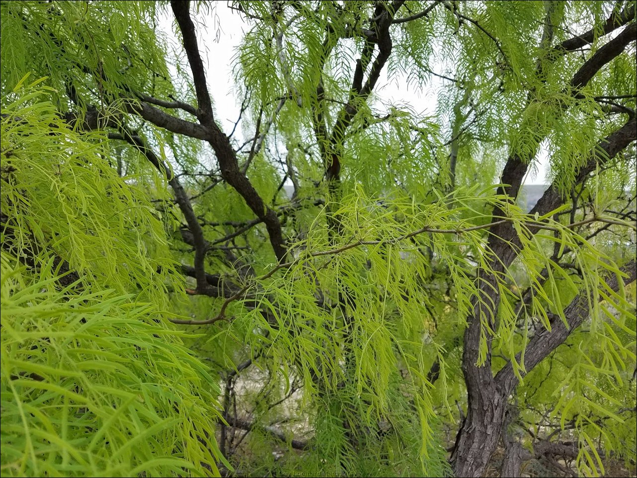 20170317_131548.jpg