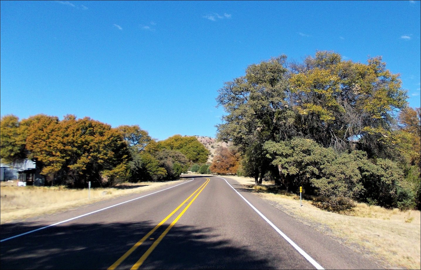 DSCN0517.jpg