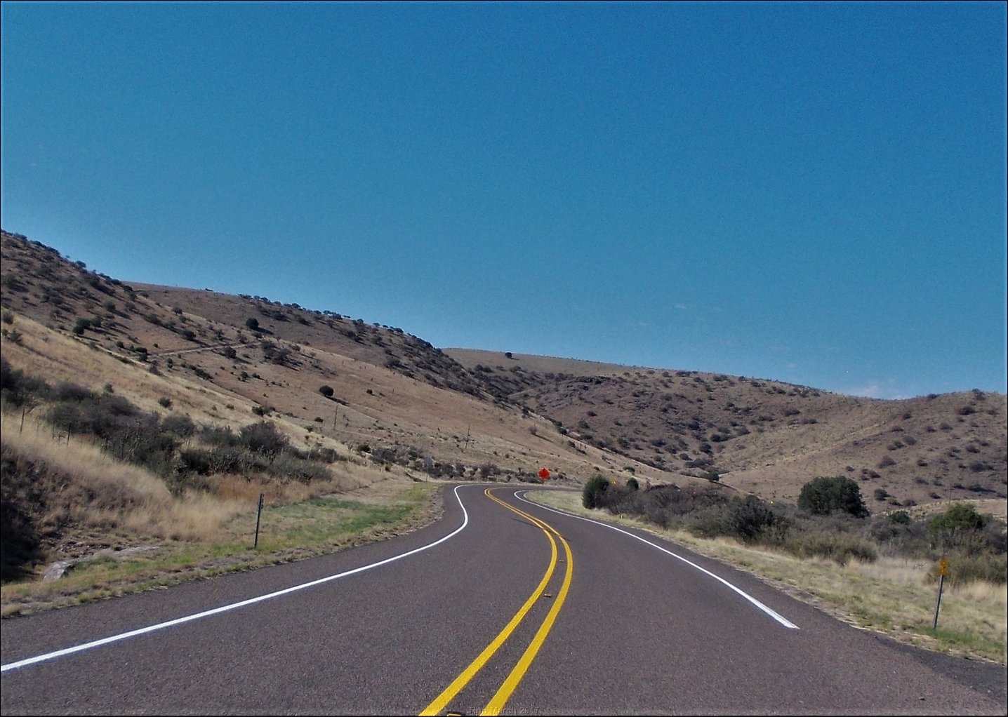 DSCN0519.jpg