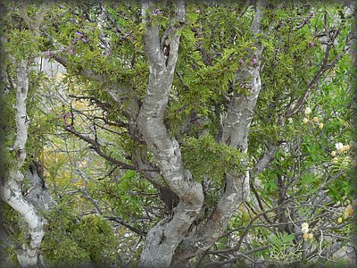 DSCN0346.JPG