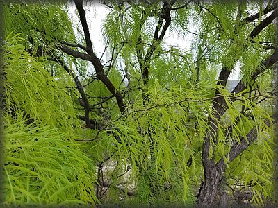 20170317_131548.jpg