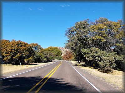 DSCN0517.jpg