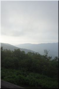 DSC01528.JPG