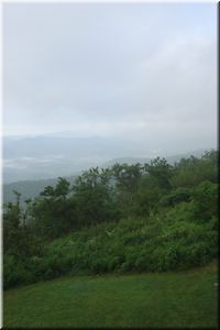 DSC01530.JPG