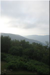 DSC01531.JPG