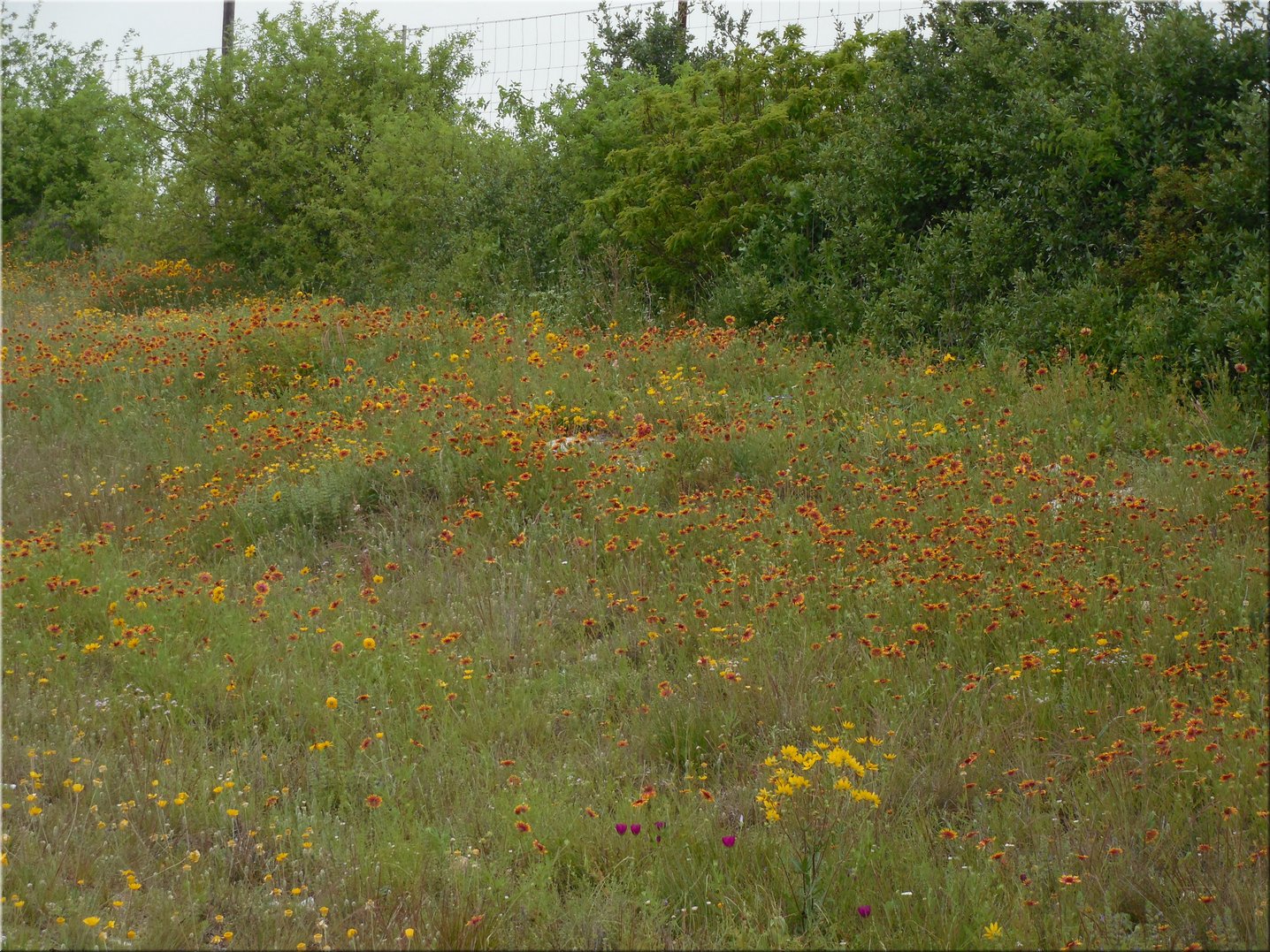 DSCN0087.JPG