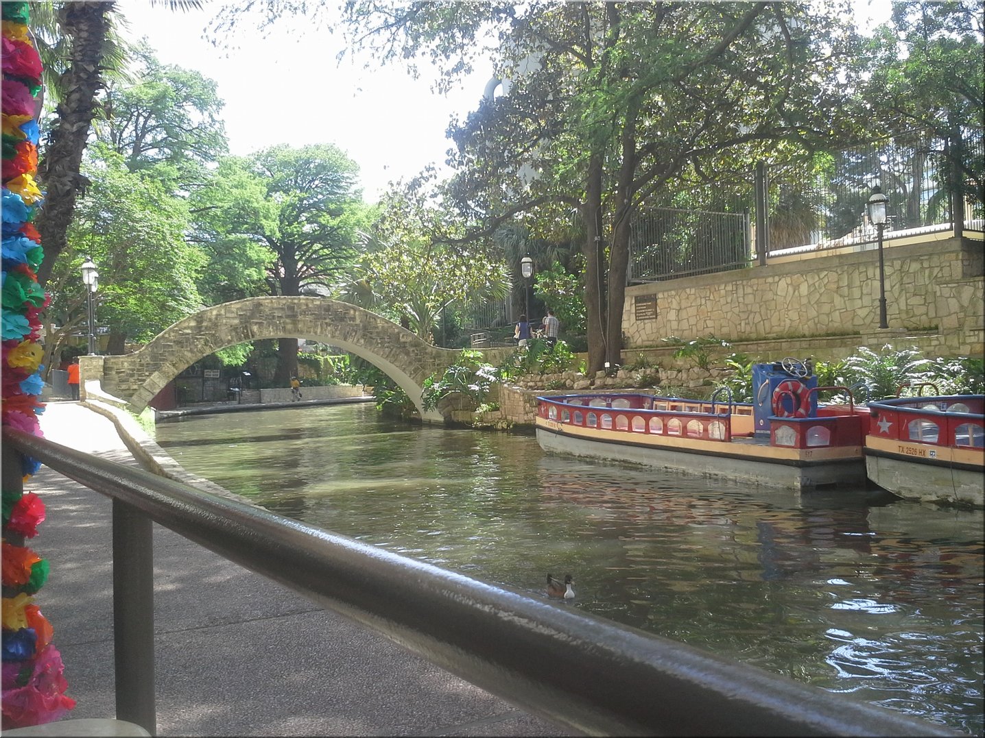 20160427_154849.jpg