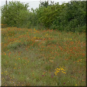 DSCN0087.JPG
