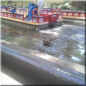20160427_154857.jpg