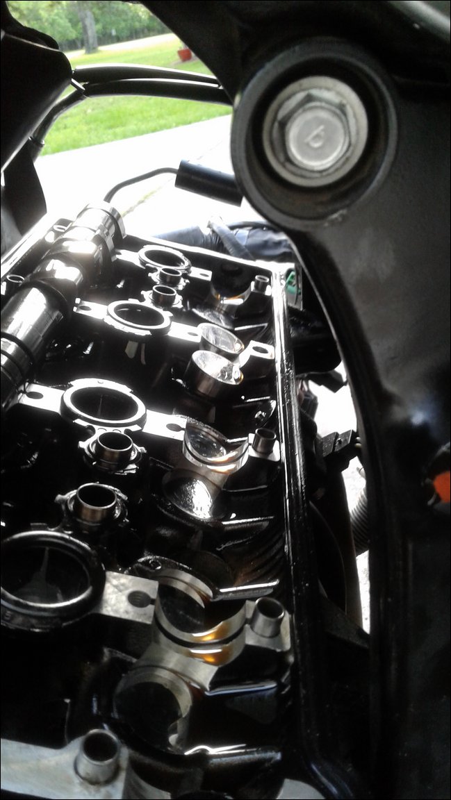 ExValves.jpg