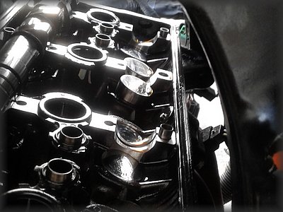 ExValves.jpg