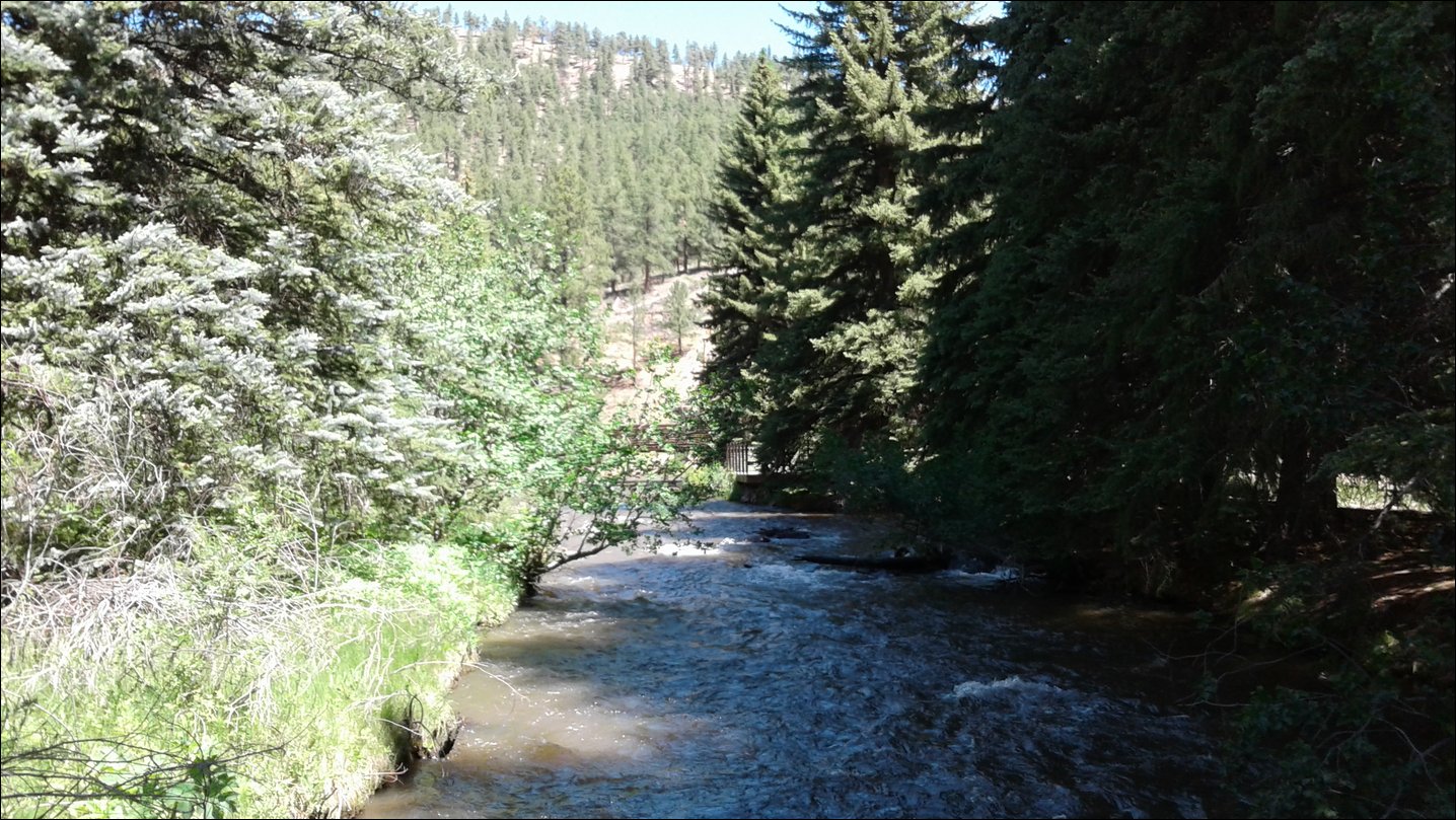 20170613_112234.jpg