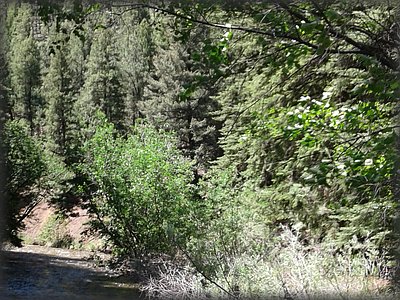 20170613_112249.jpg