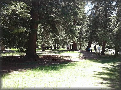20170613_112504.jpg