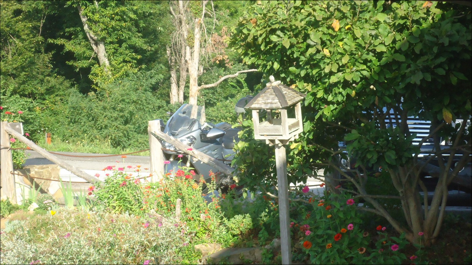 DSC02979.JPG