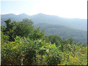 DSC03062.JPG
