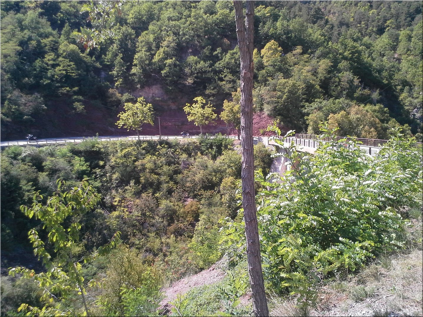20150829_143648.jpg