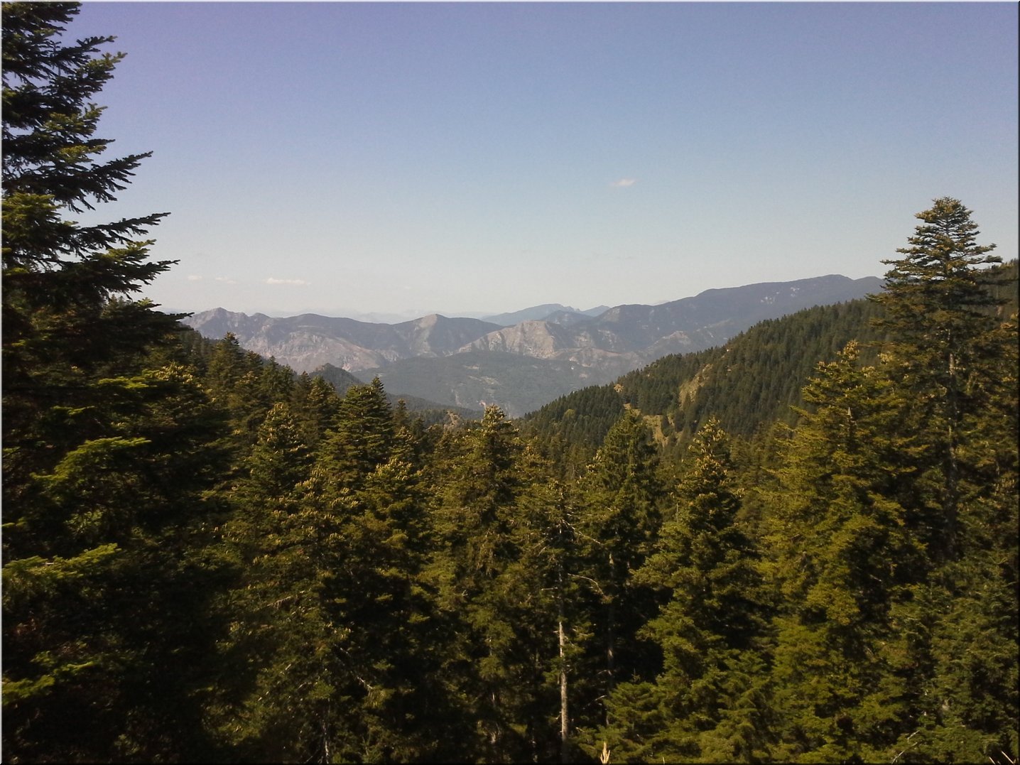 20150830_122128.jpg