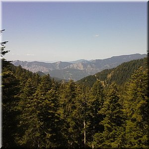 20150830_122128.jpg