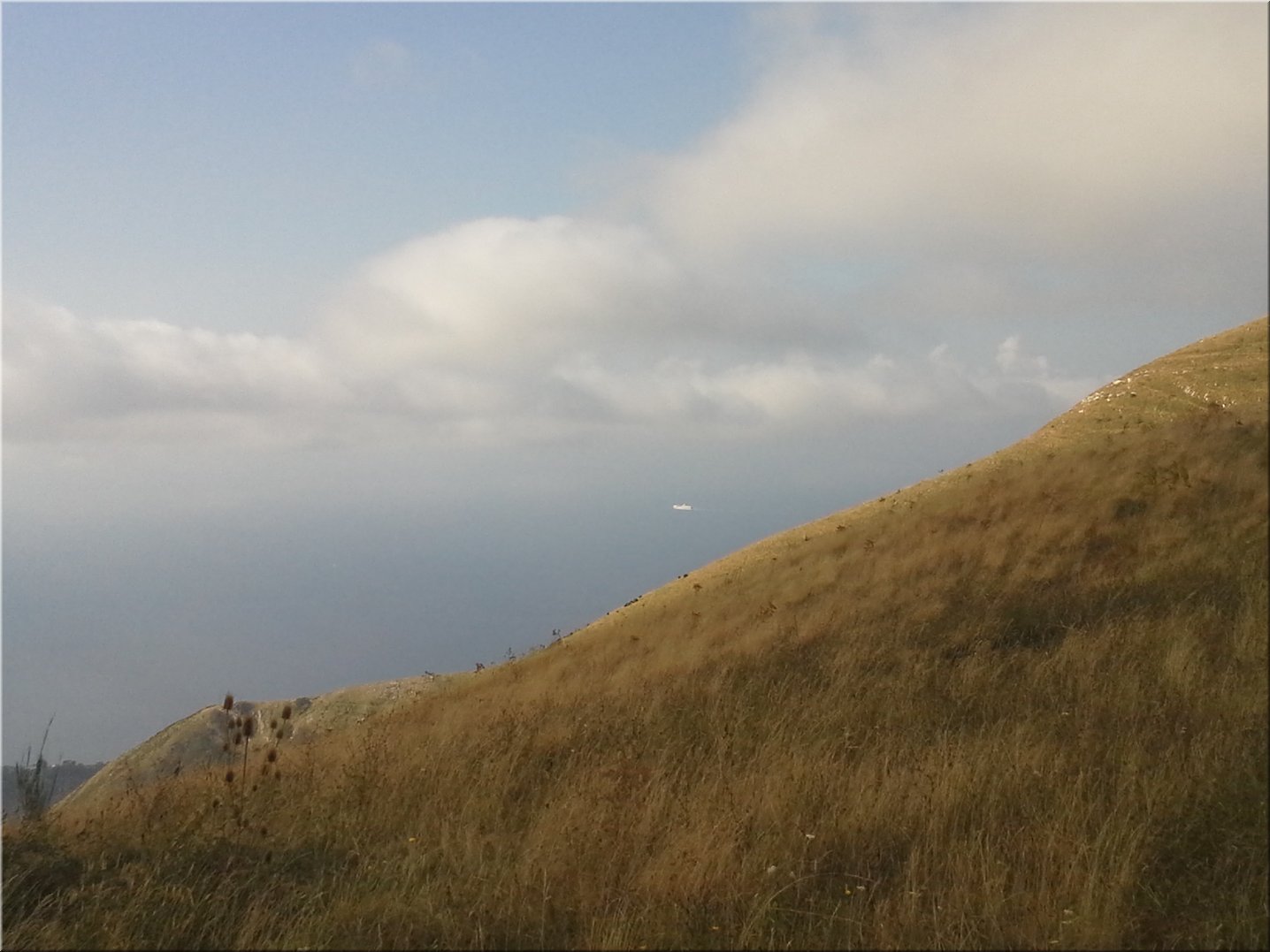 20150902_095308.jpg