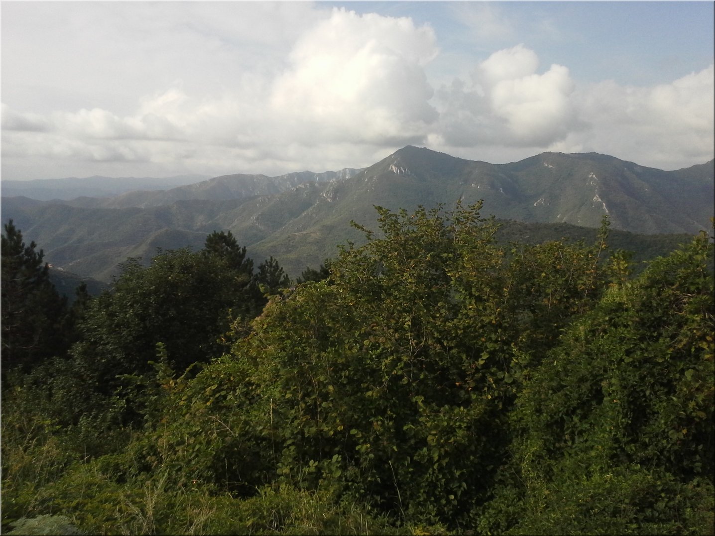 20150903_095421.jpg