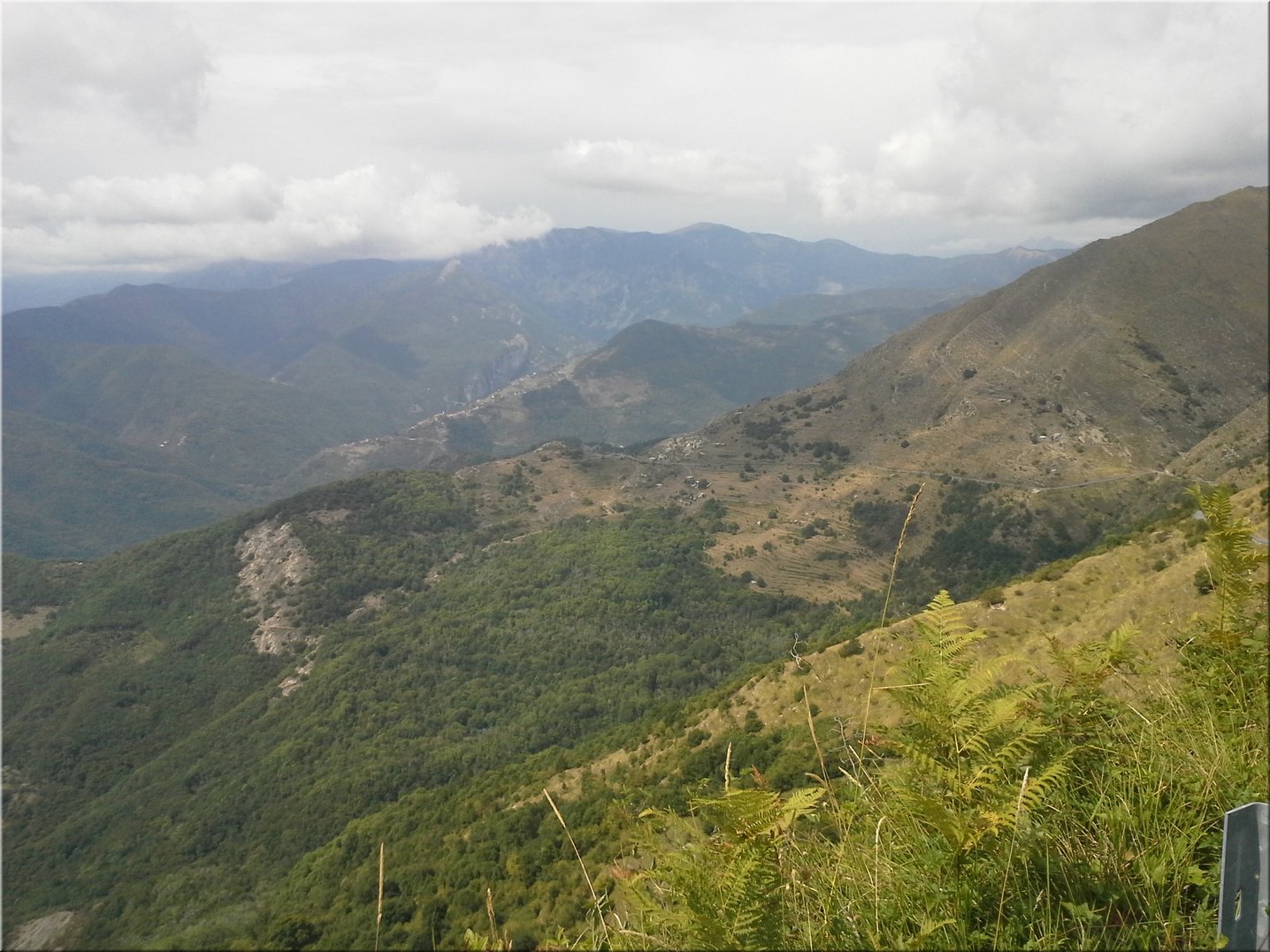 20150903_124239.jpg