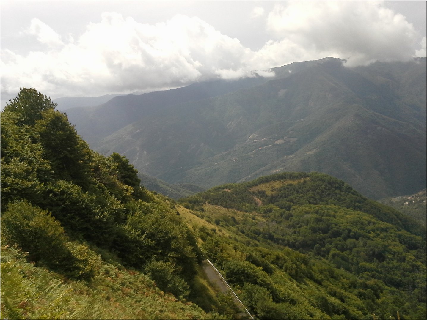 20150903_124243.jpg