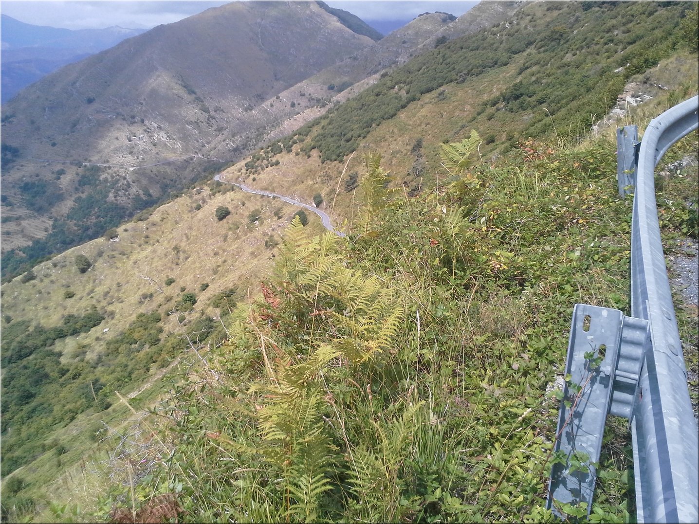 20150903_124300.jpg